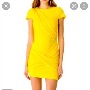 Alice + Olivia Draped Goddess Chiffon Mini Dress